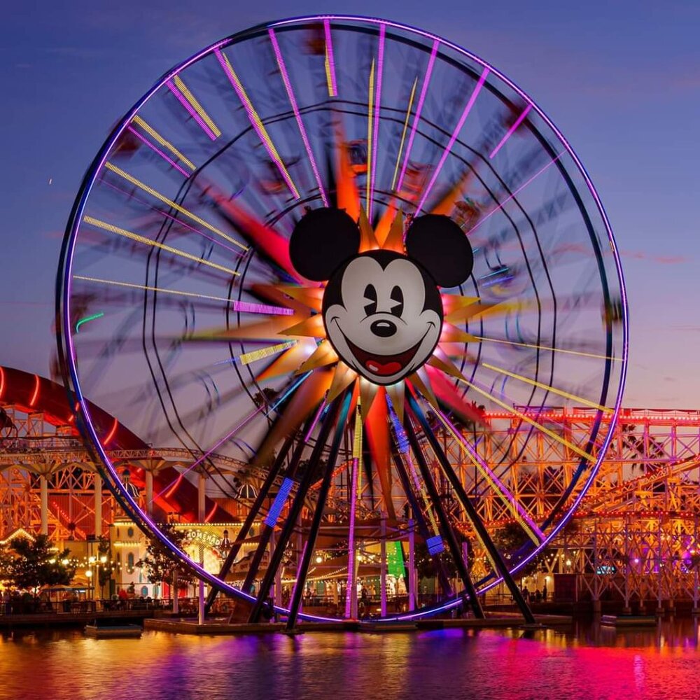 Meet your Posher, Nik